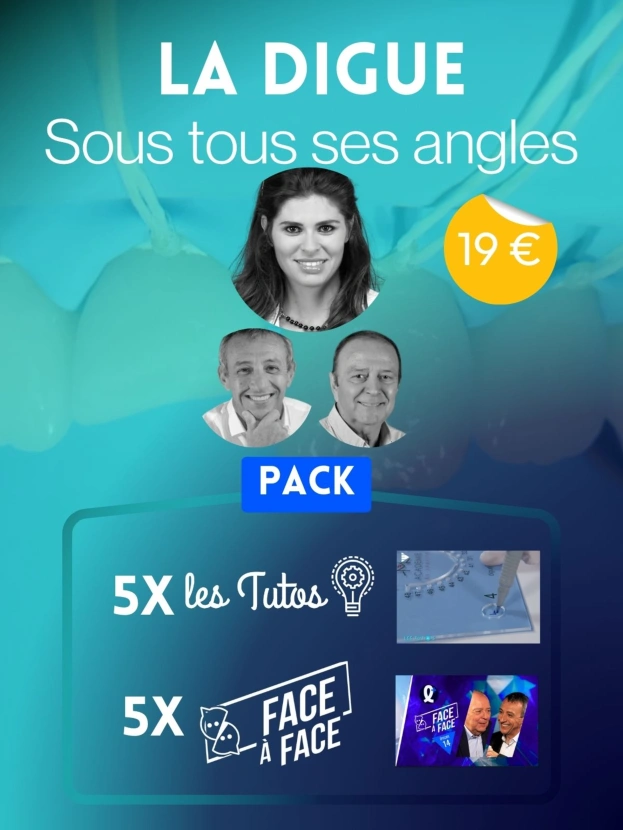 LA DIGUE sous tous ses angles