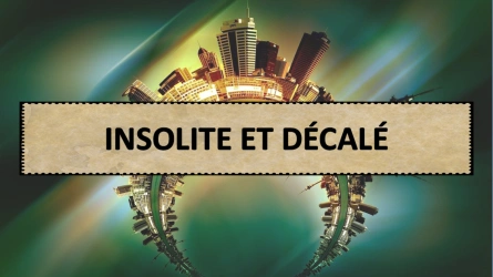 Quiz - Insolite et Décalé