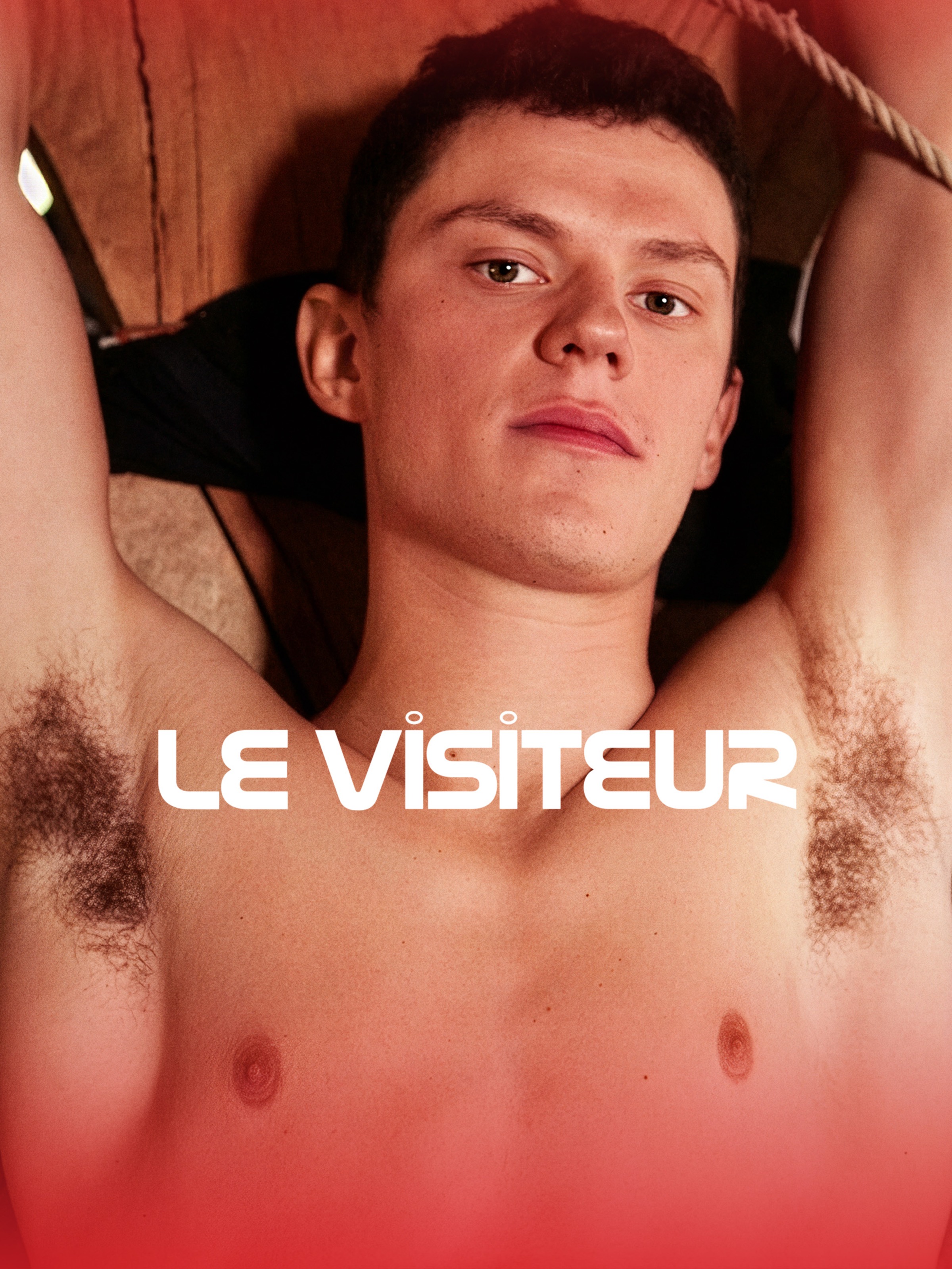 Le visiteur