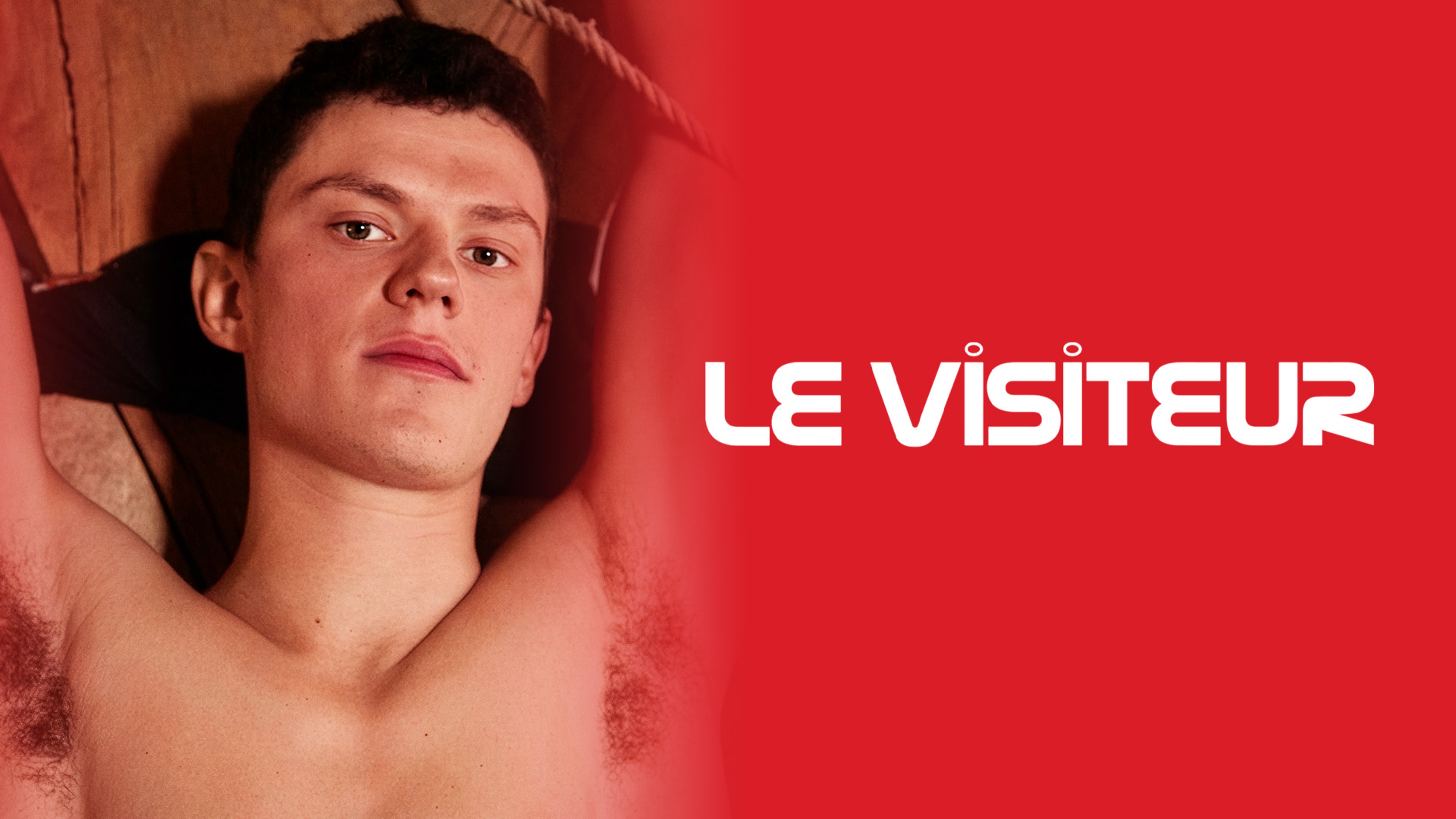 Le visiteur