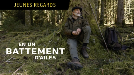 En un battement d'ailes