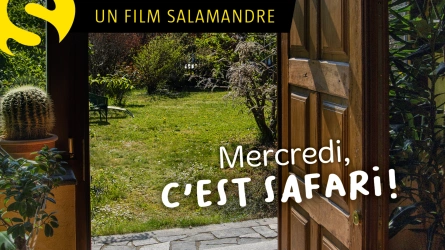 Mercredi, c'est safari