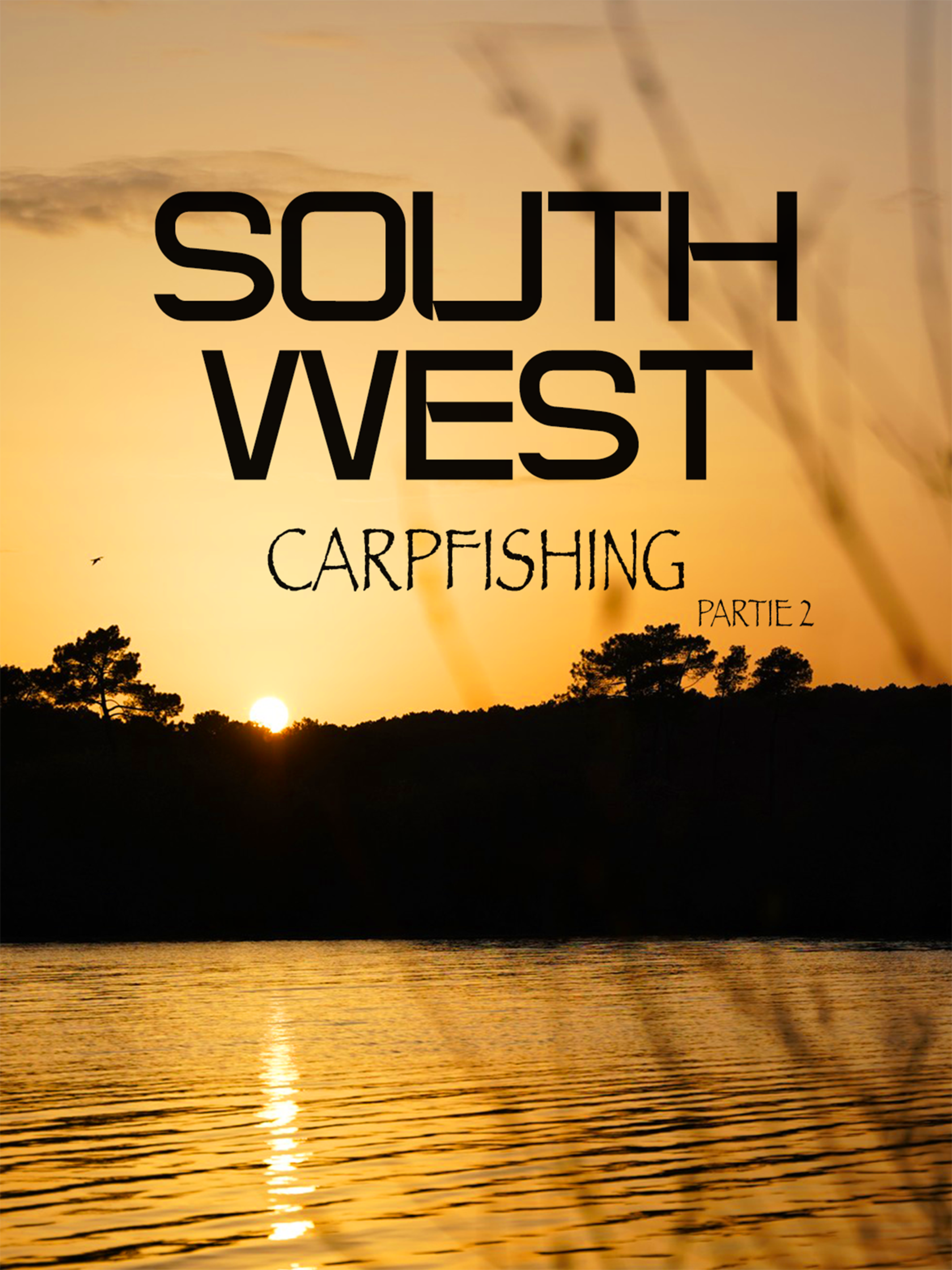 SOUTH WEST CarpFishing - Partie 2