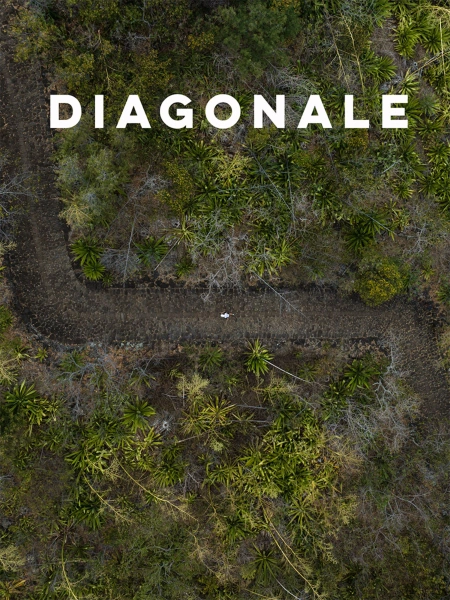 Diagonale