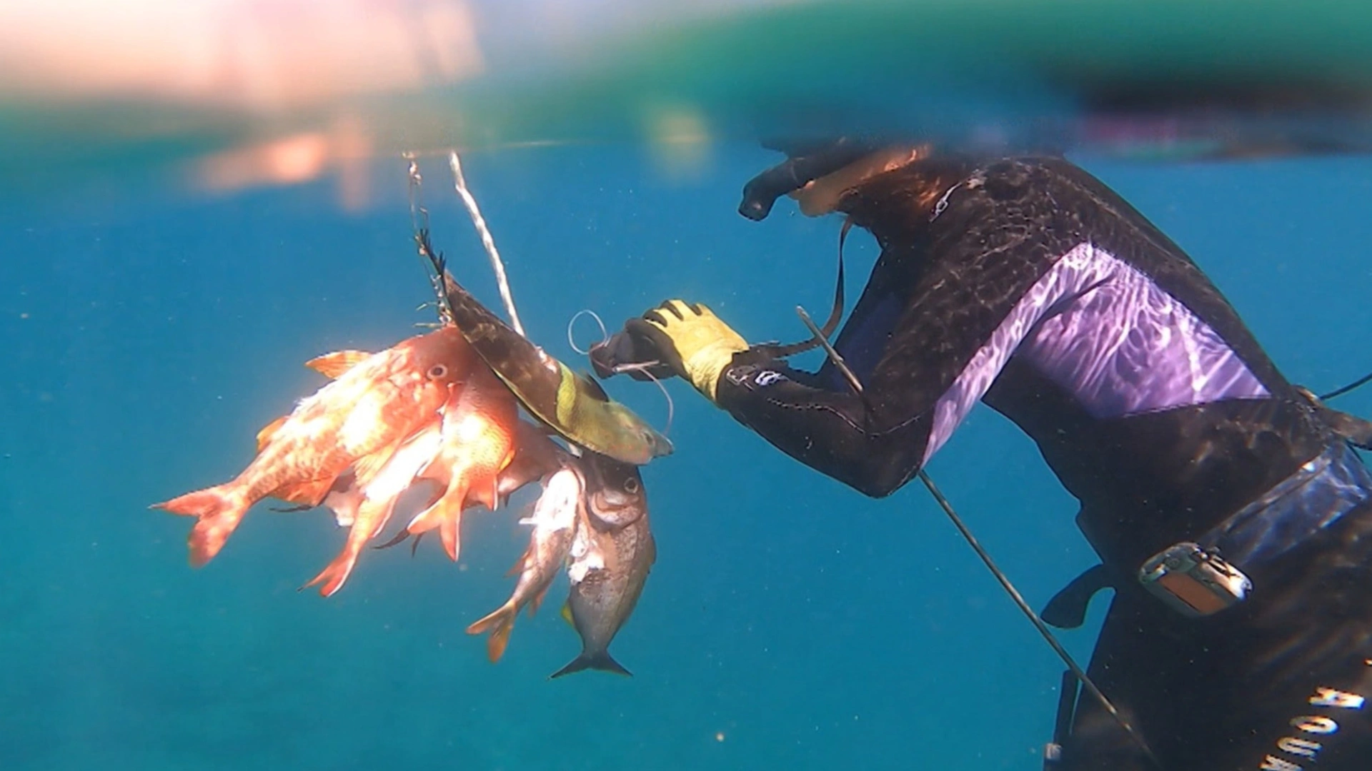 Tahiti une pêche paradisiaque