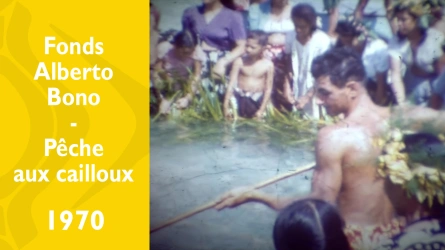 Pêche collective aux îles Sous-le-Vent