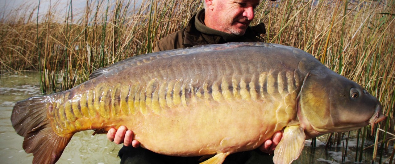 INTERVIEW - Patrick Zambeaux