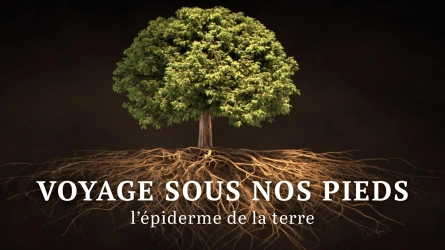 Voyage sous nos pieds, l'épiderme de la Terre