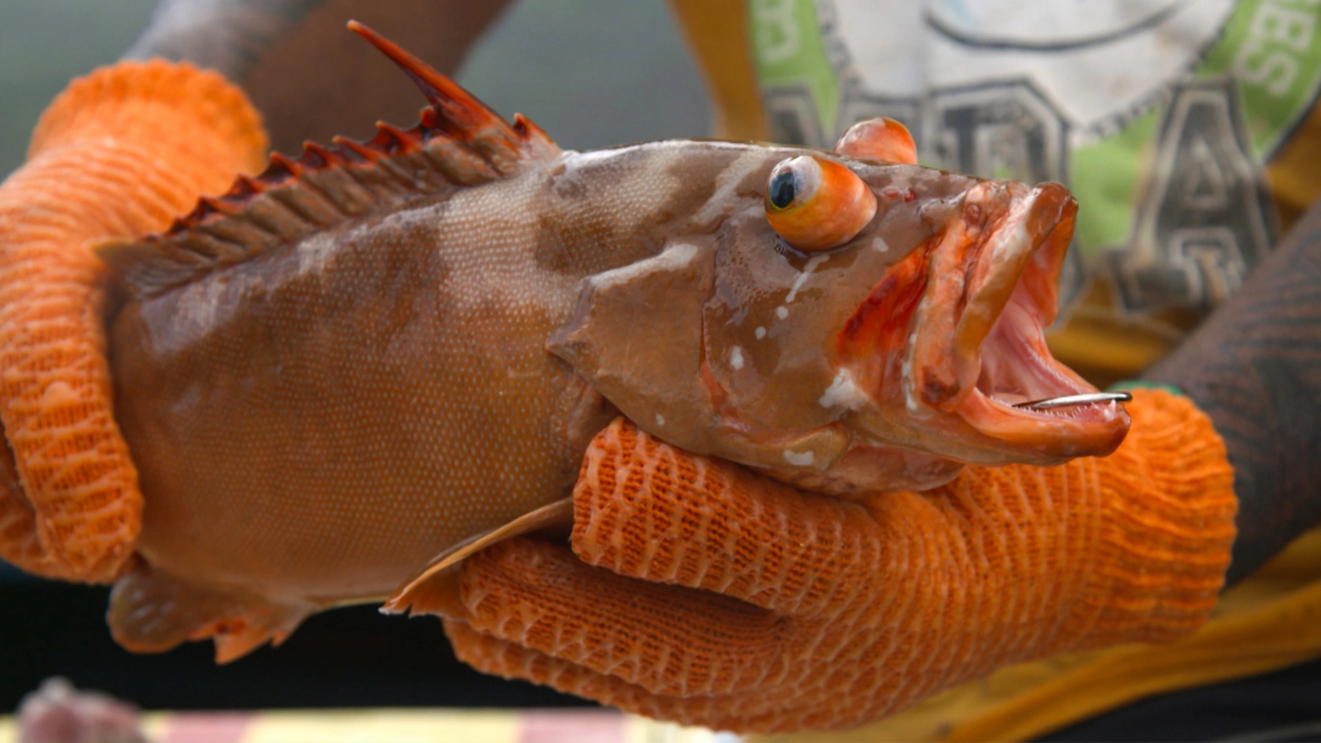 Pêche dans les îles Marquises