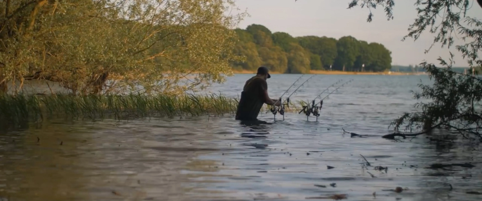 Carp Follow - Lac d'Orient first touch.