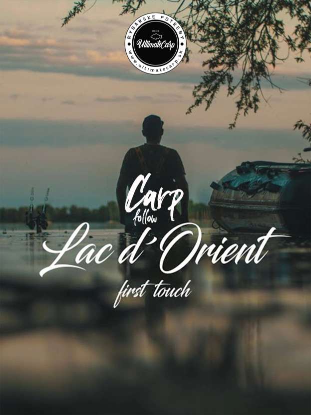 Carp Follow - Lac d'Orient first touch.