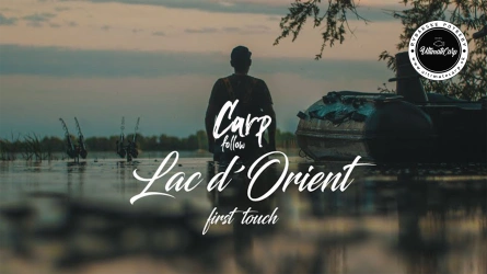 Carp Follow - Lac d'Orient first touch.