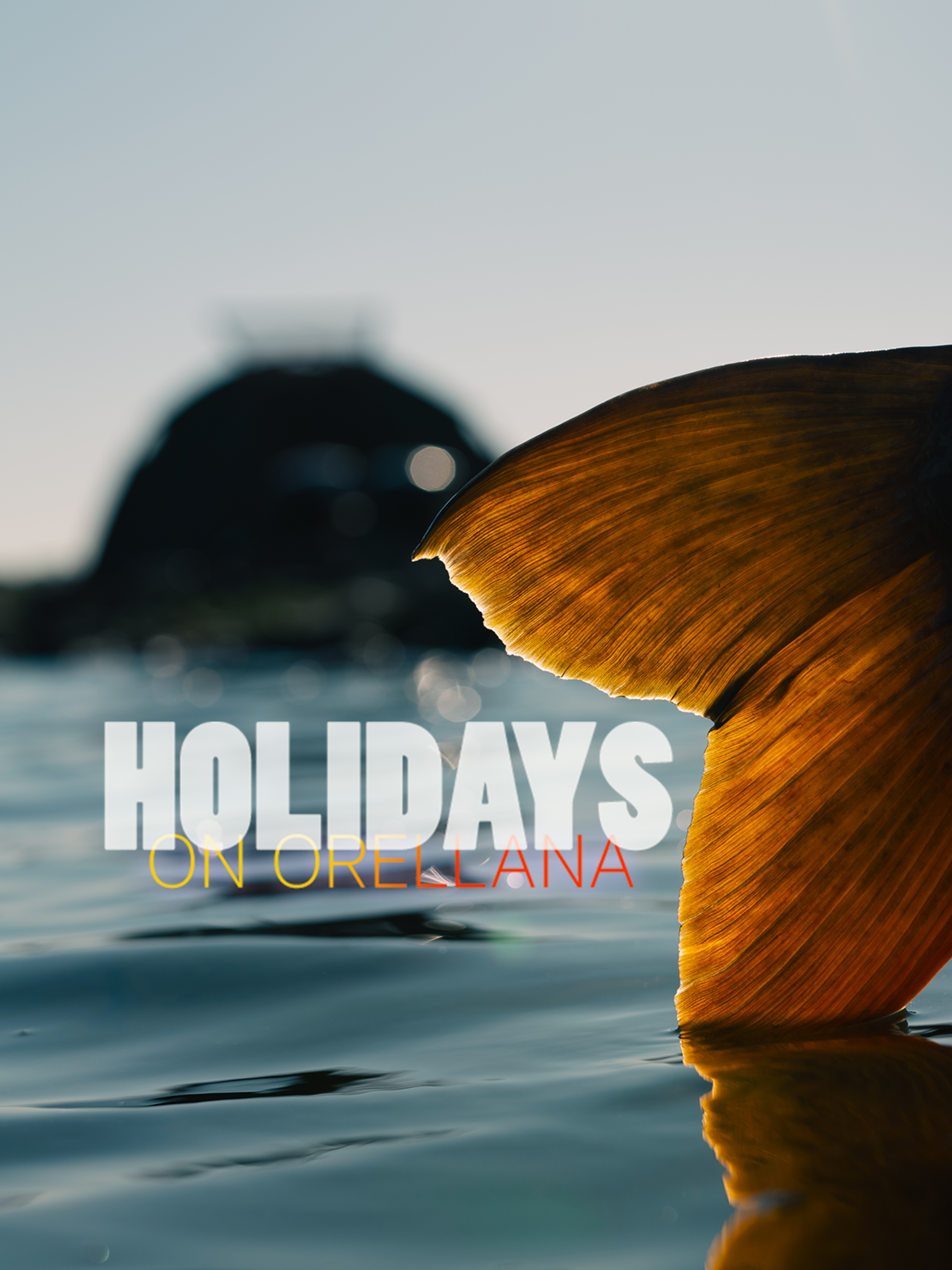 VLOG - HOLIDAYS on Orellana