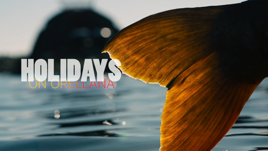 VLOG - HOLIDAYS on Orellana