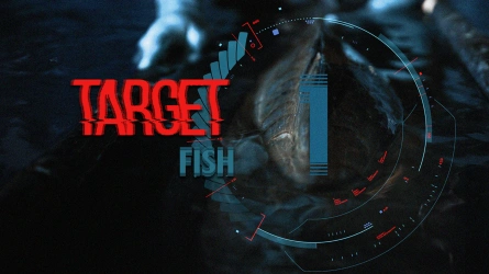 VLOG - TARGET Fish et Champignons - Partie 1