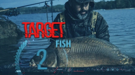 VLOG - TARGET Fish et Champignons - Partie 2