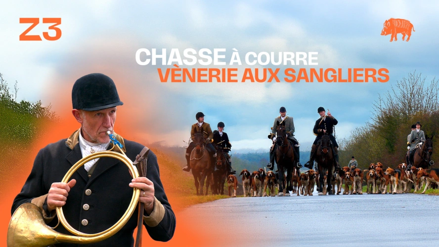 Chasse à courre : vènerie aux sangliers