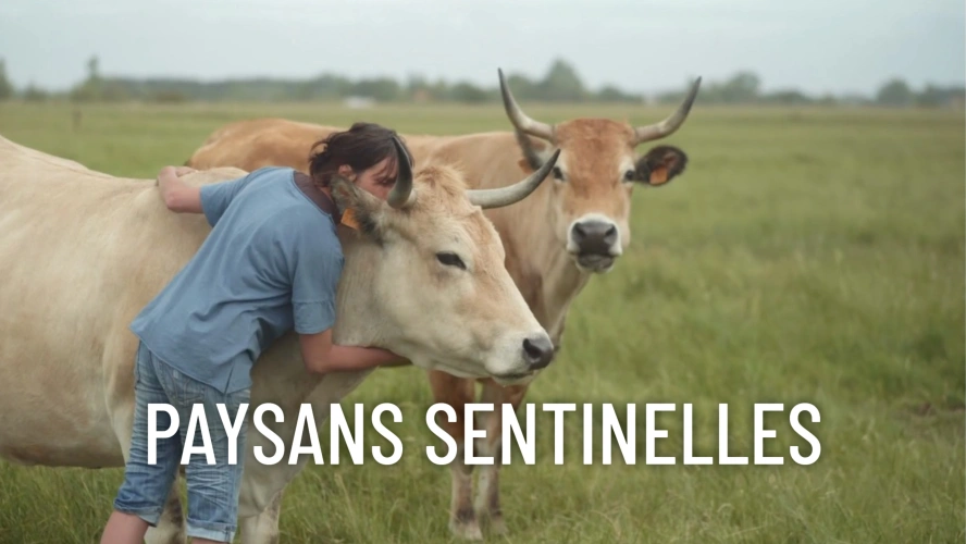 Paysans sentinelles