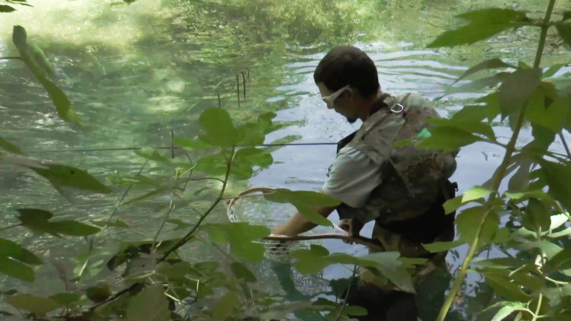 À l'ombre de la Sorgue