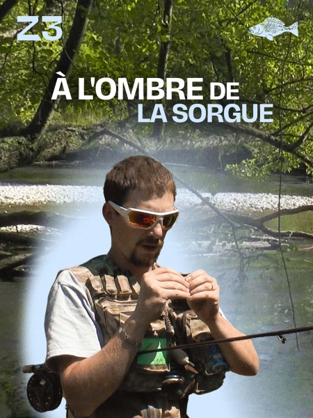 À l'ombre de la Sorgue