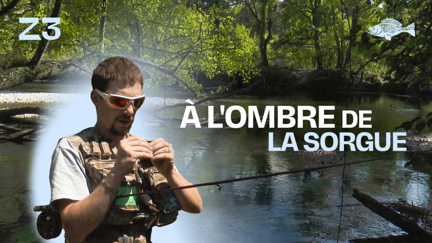 À l'ombre de la Sorgue