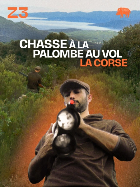 Chasse à la palombe au vol : la Corse