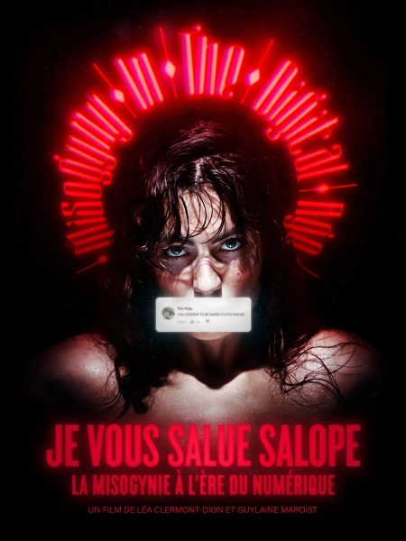 Je vous salue salope : la misogynie au temps du numérique