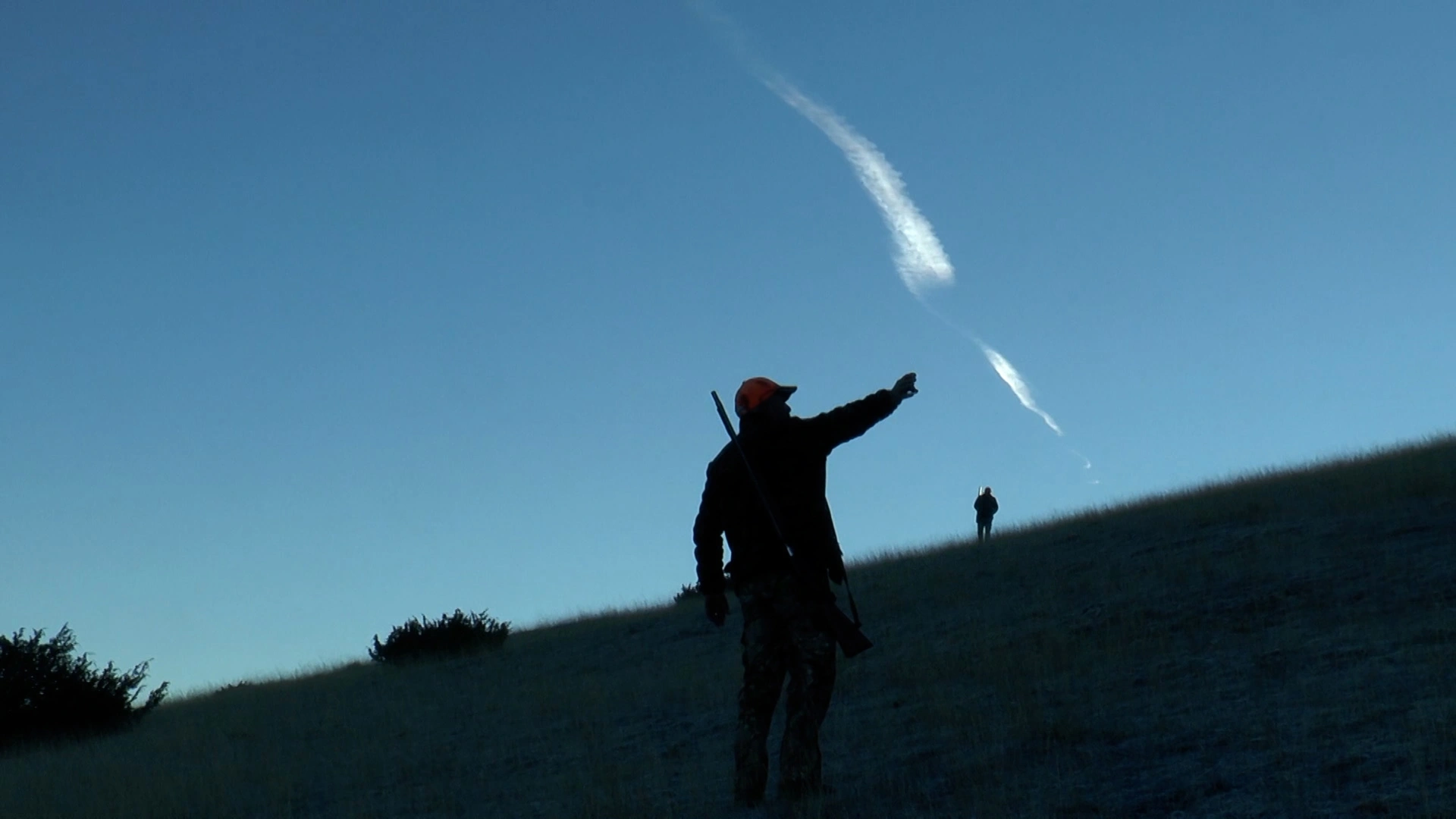 Le lièvre et les copains