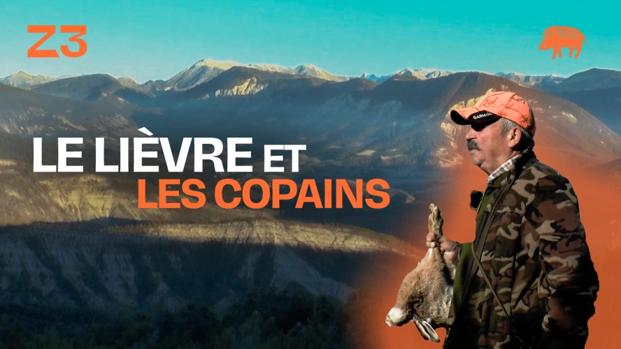 Le lièvre et les copains