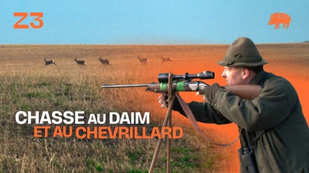 Chasse au daim et au chevrillard