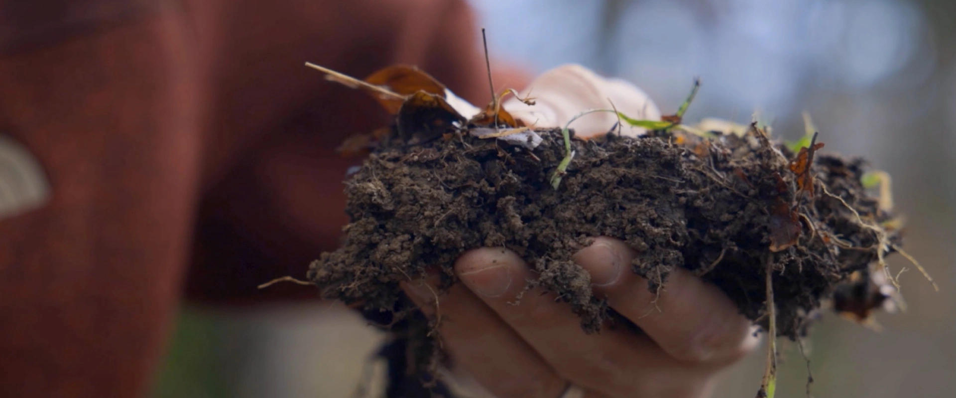 Un monde fabuleux sous nos pieds !