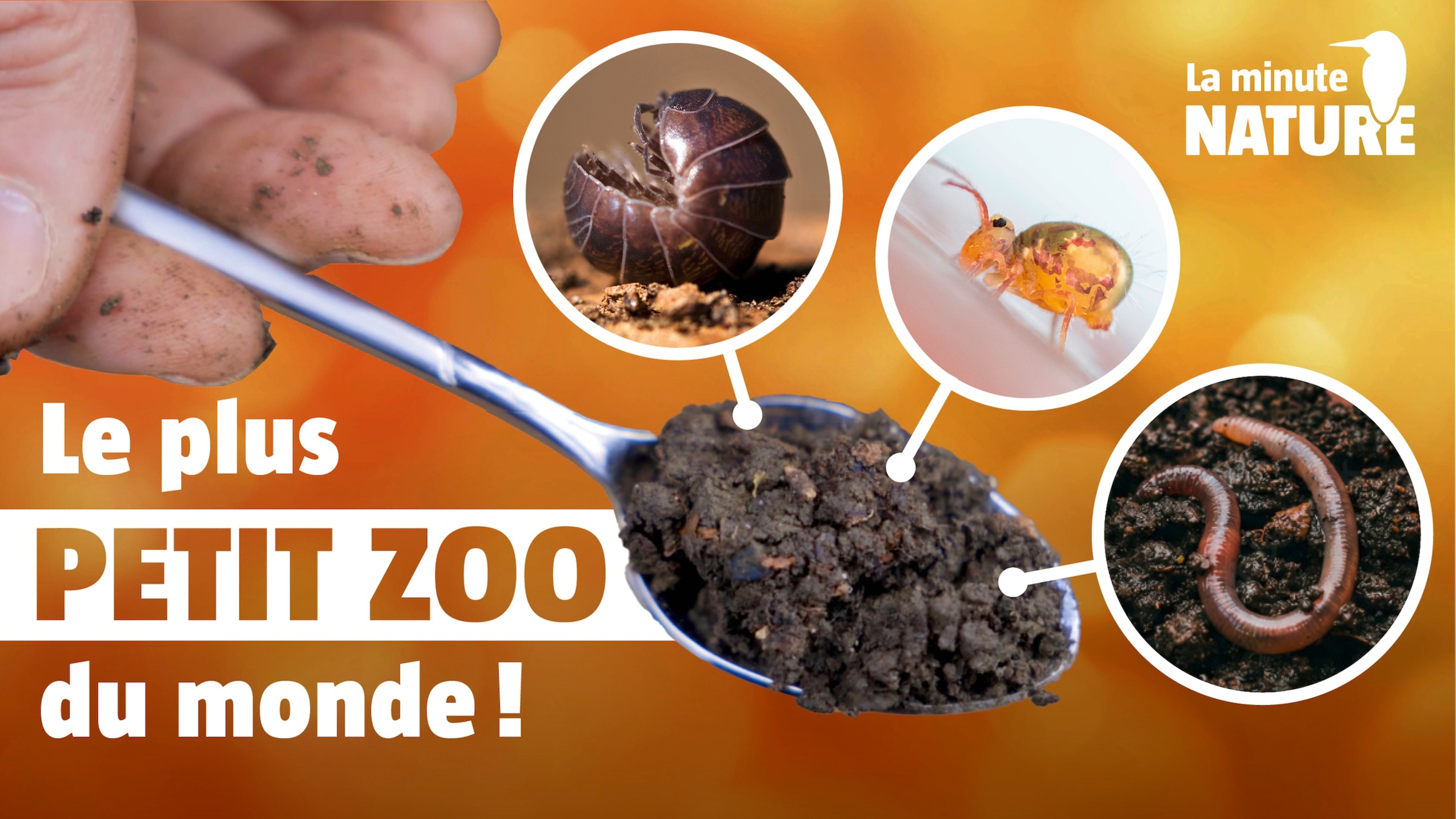 Un monde fabuleux sous nos pieds !