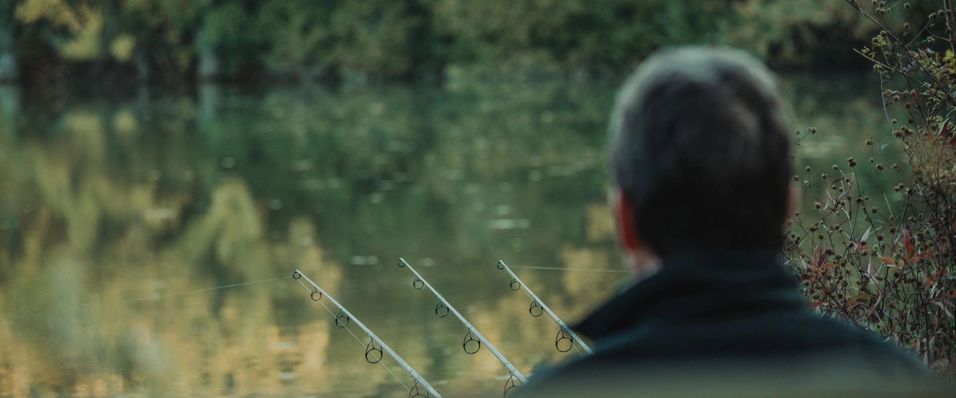 COMME AU PREMIER JOUR