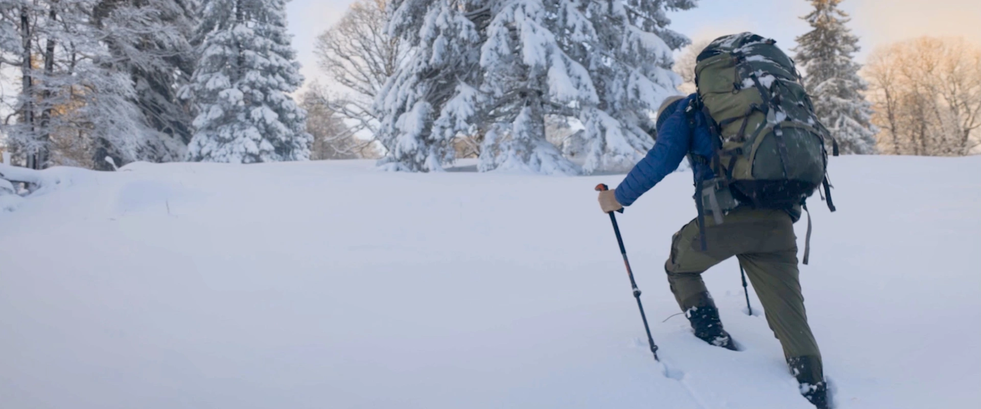 Ce que la nature m'a appris