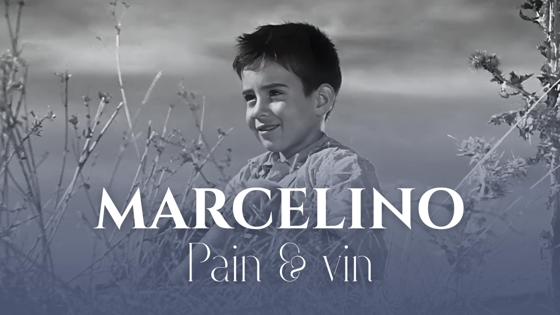 Marcelino, pain et vin