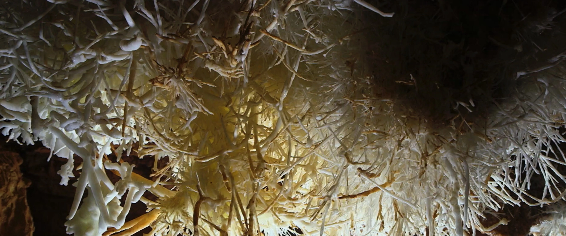 Voyage sous nos pieds, les entrailles du sol