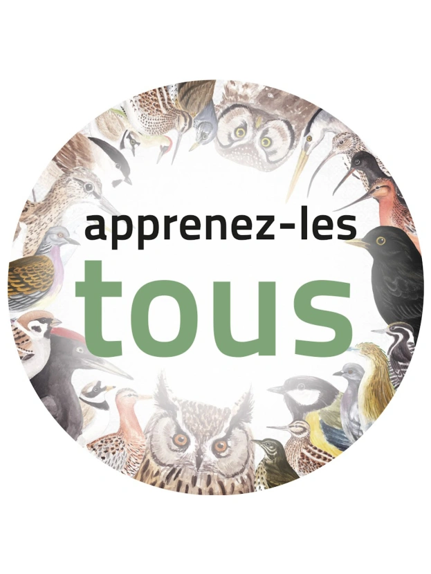 Apprenez-les tous