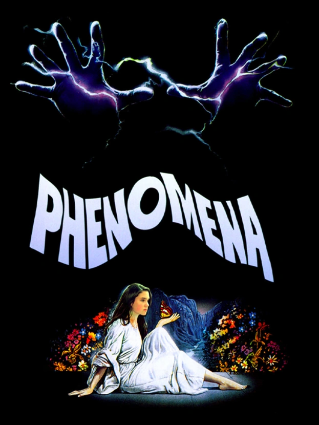Phenomena