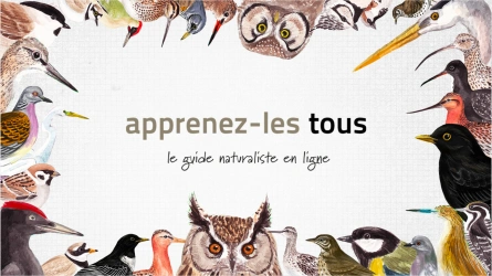 Apprenez-les tous
