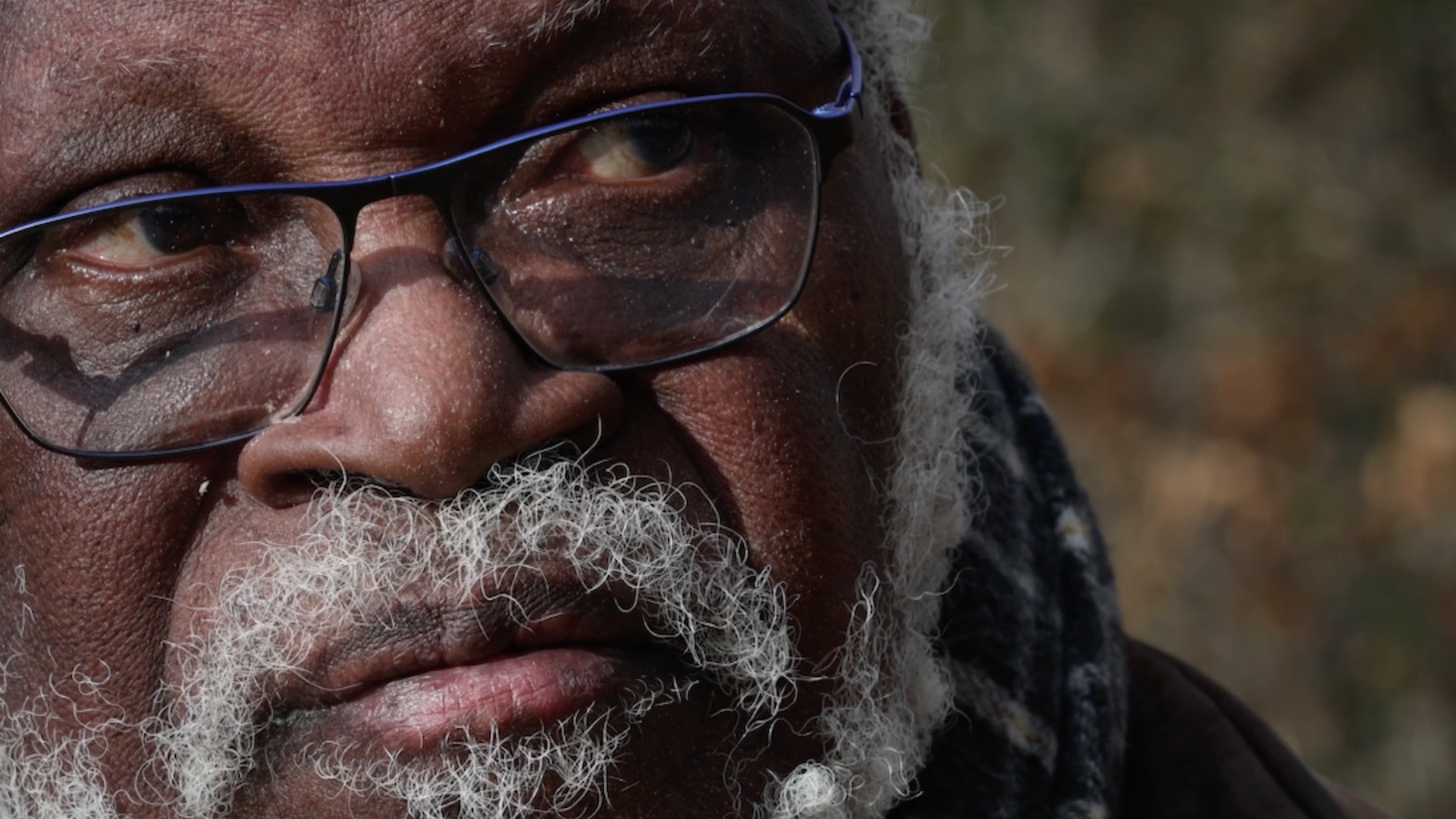 Faut-y, faut-y, les quatre saisons du Dr Akiyo