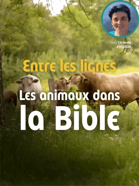 Entre les lignes - Les animaux de la Bible