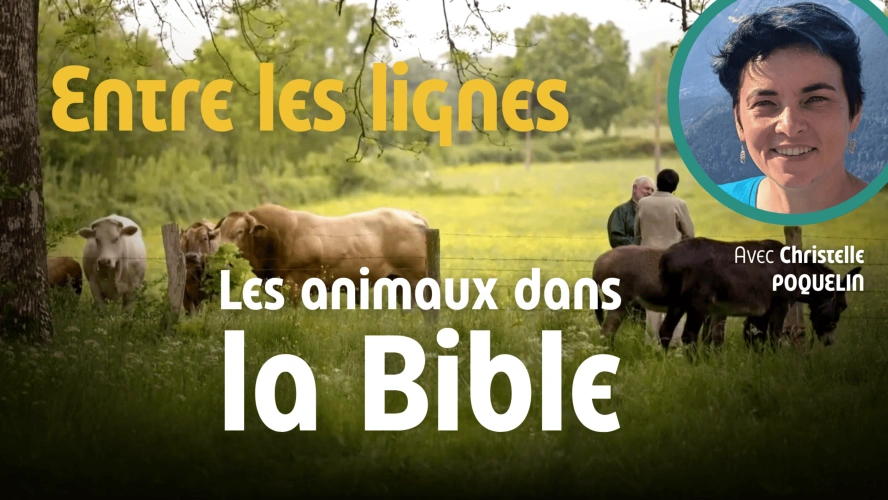 Entre les lignes - Les animaux de la Bible