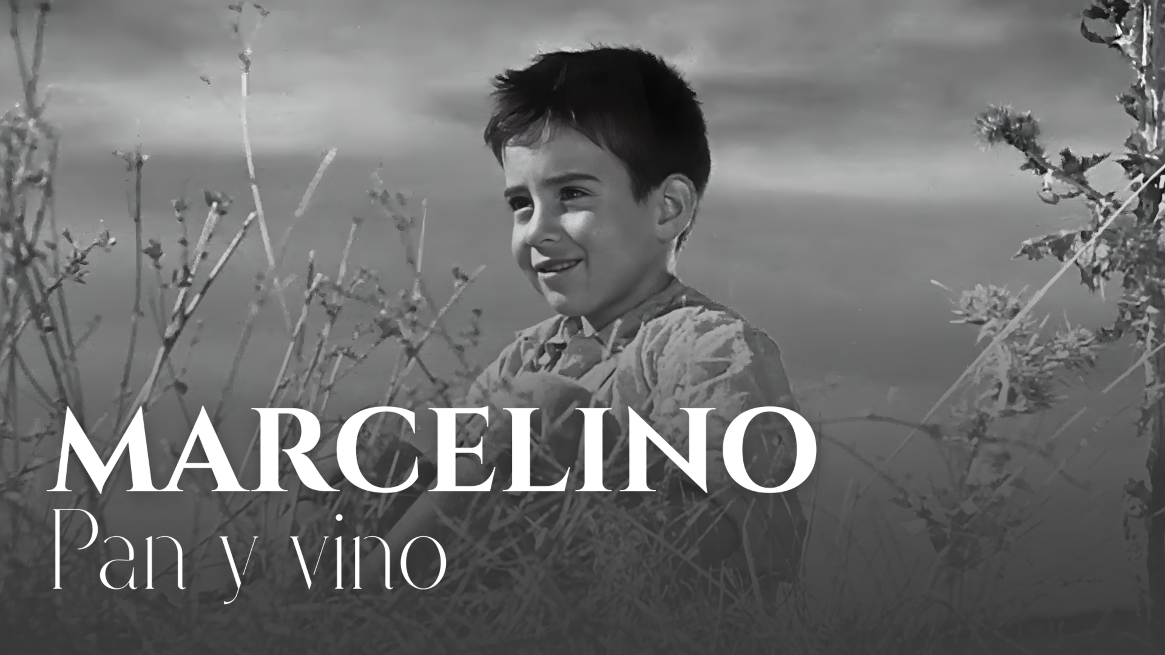 Marcelino, pain et vin