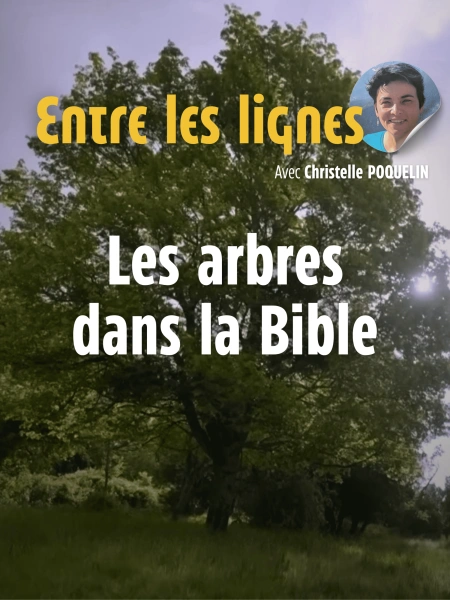 Entre les lignes - Les arbres dans la Bible