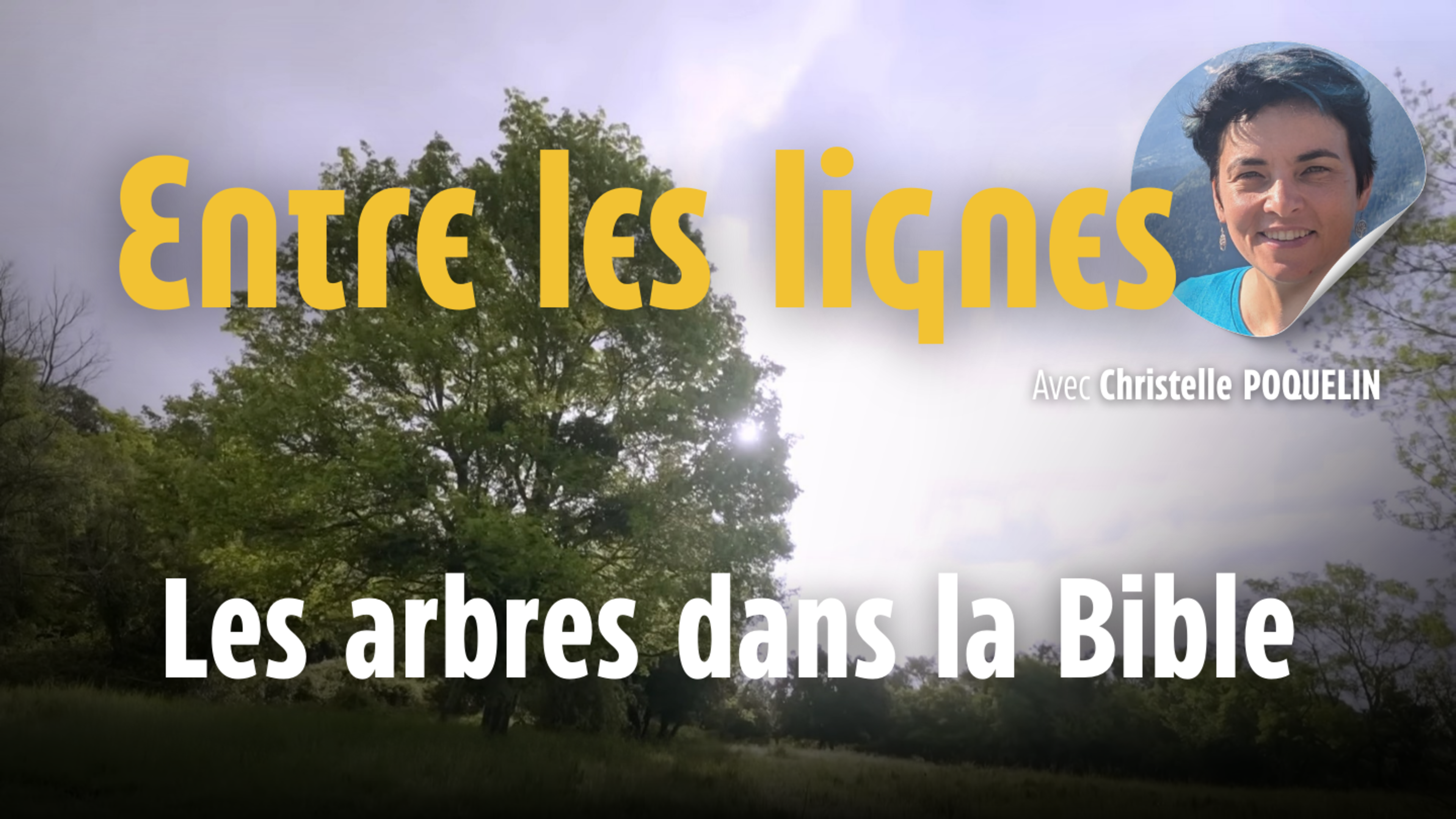 Entre les lignes - Les arbres dans la Bible