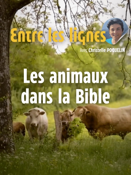 Entre les lignes - Les animaux de la Bible