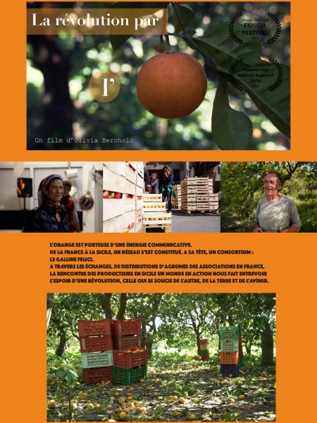 La révolution par l'orange