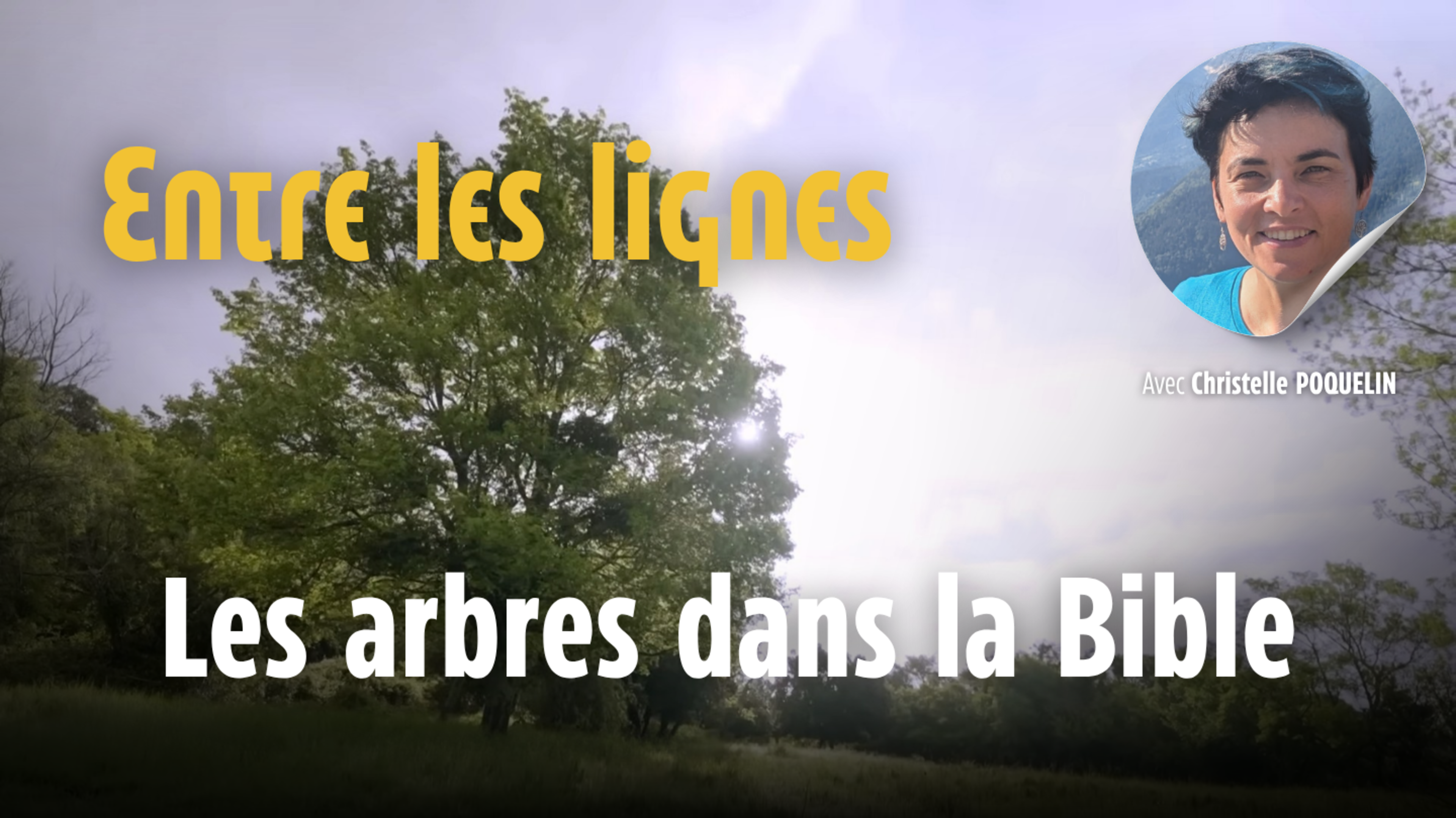 Entre les lignes - Les arbres dans la Bible