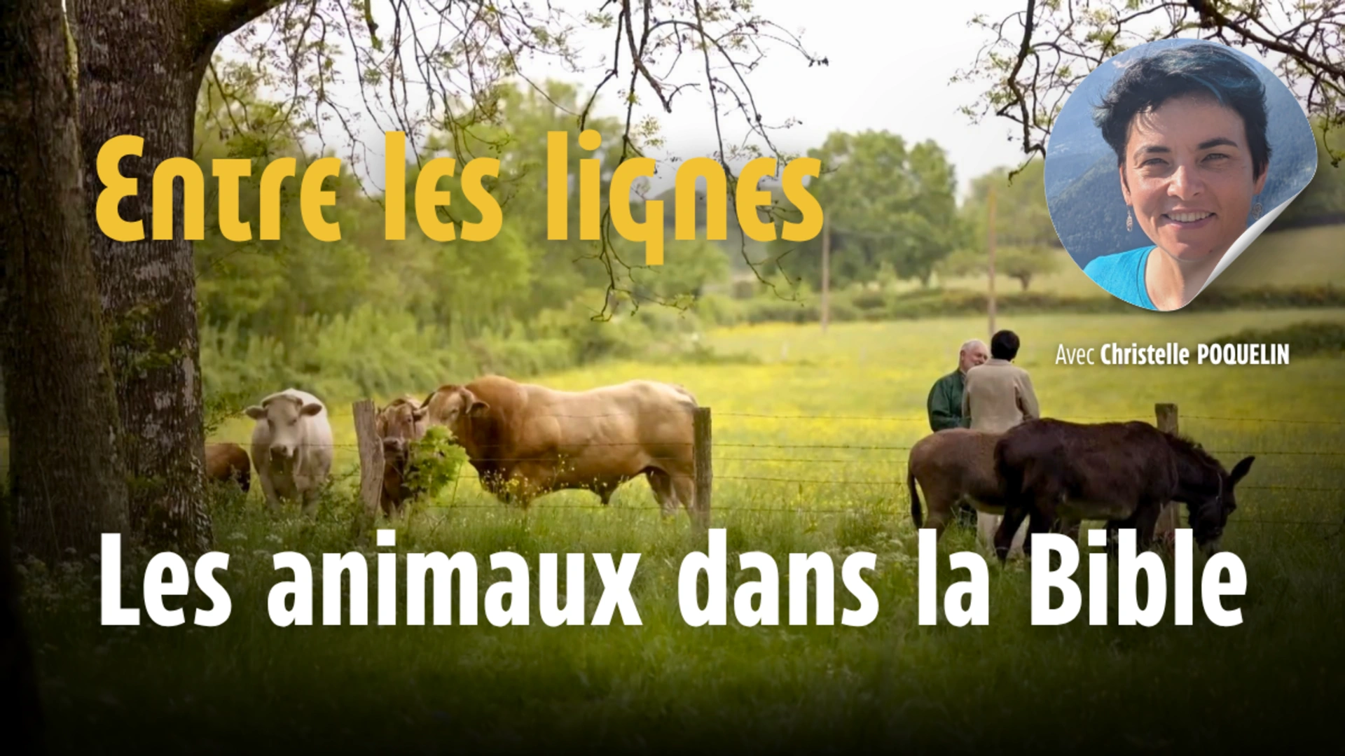 Entre les lignes - Les animaux de la Bible