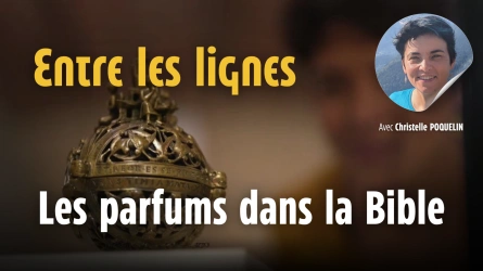 Entre les lignes - Les parfums de la Bible